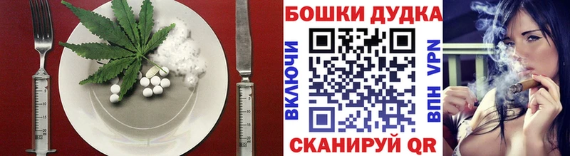 kraken   Приозерск  Cannafood конопля 