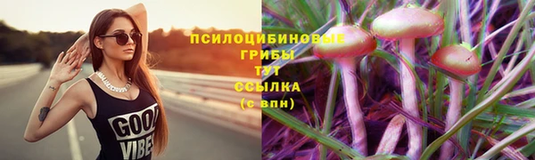 прущая мука Аркадак