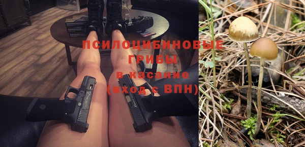 спиды Арсеньев