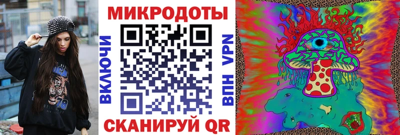 Псилоцибиновые грибы Psilocybe  Приозерск 